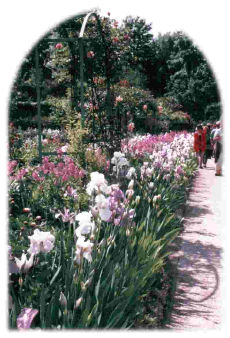 Monet's Garden, Giverny 