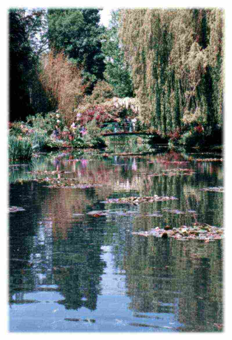 Monet's Lily Pond and Bridge